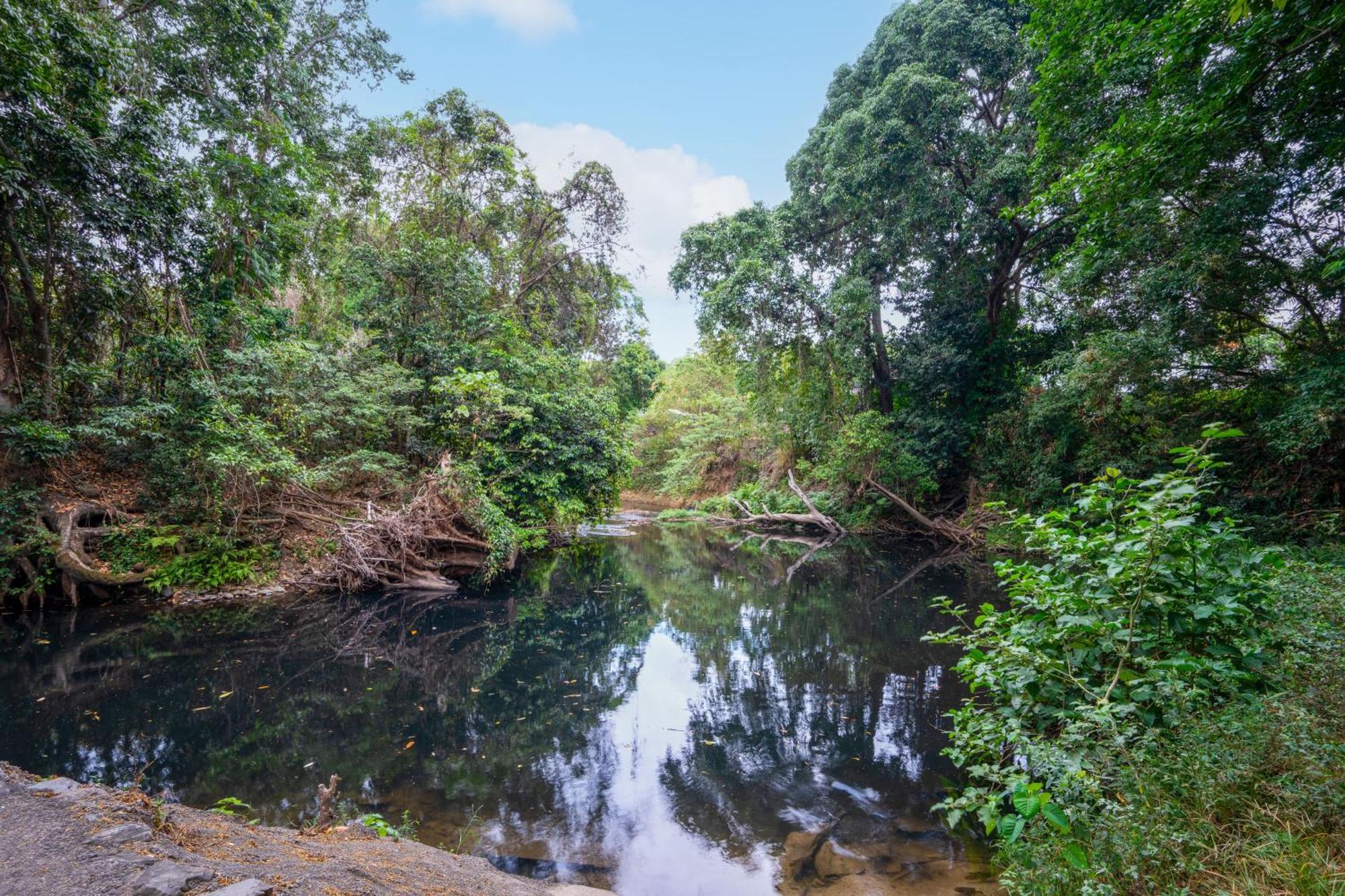 Tasman Holiday Parks - Cairns Cool Waters Extérieur photo