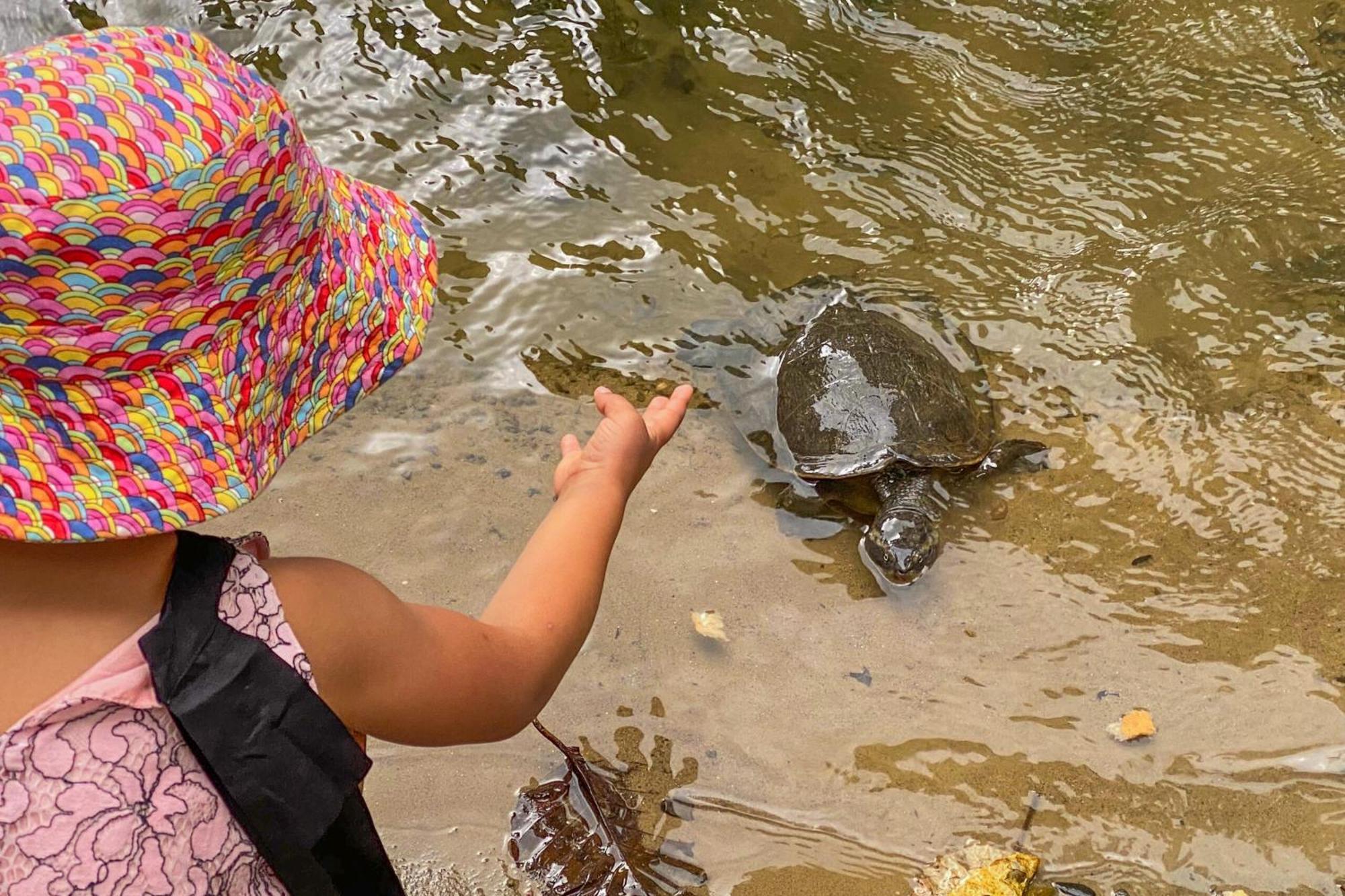 Tasman Holiday Parks - Cairns Cool Waters Extérieur photo